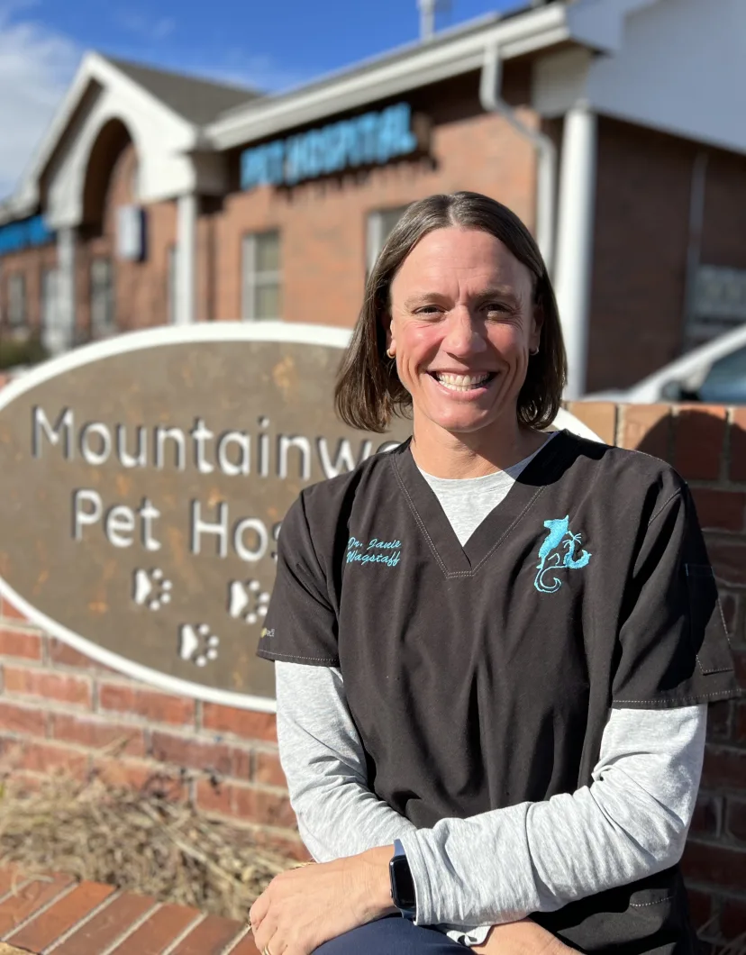 Dr. Janie Wagstaff, vet at Mountainwood Pet Hospital